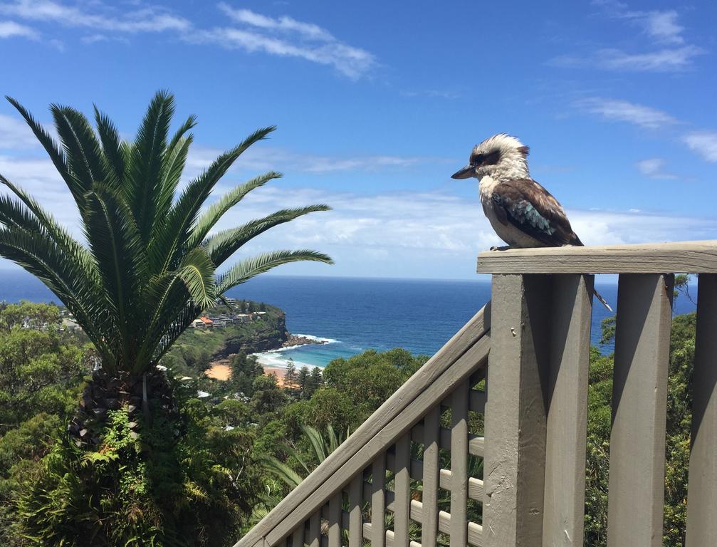Avalon Horizons Appartement Bilgola Buitenkant foto